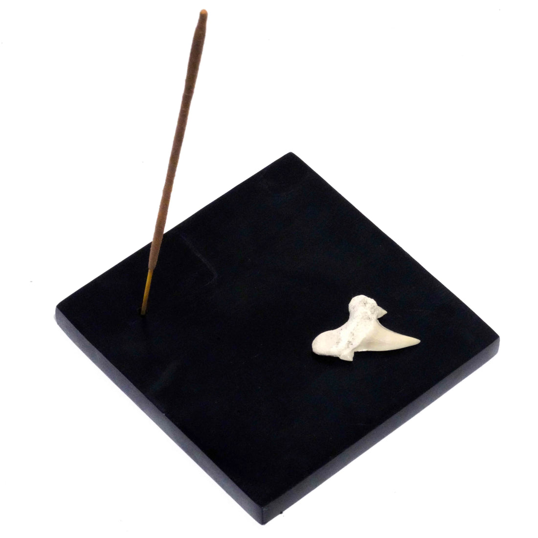 Shark Tooth Stone Incense Plate