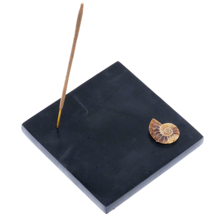 Ammonite Stone Incense Plate